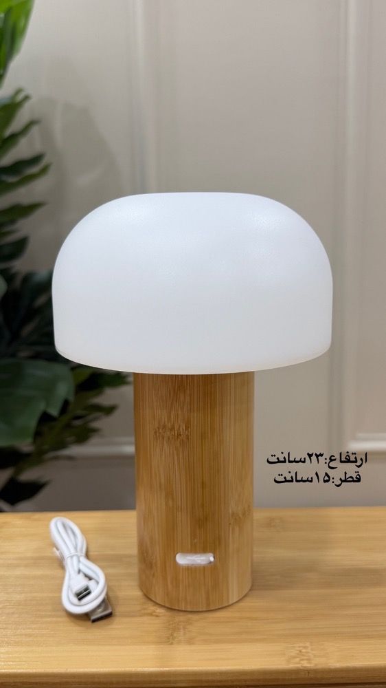 آباژور رومیزی بامبو شارژی دارای سه طیف نور